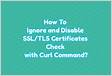 How To Ignore and Disable SSLTLS Certificates Check wit